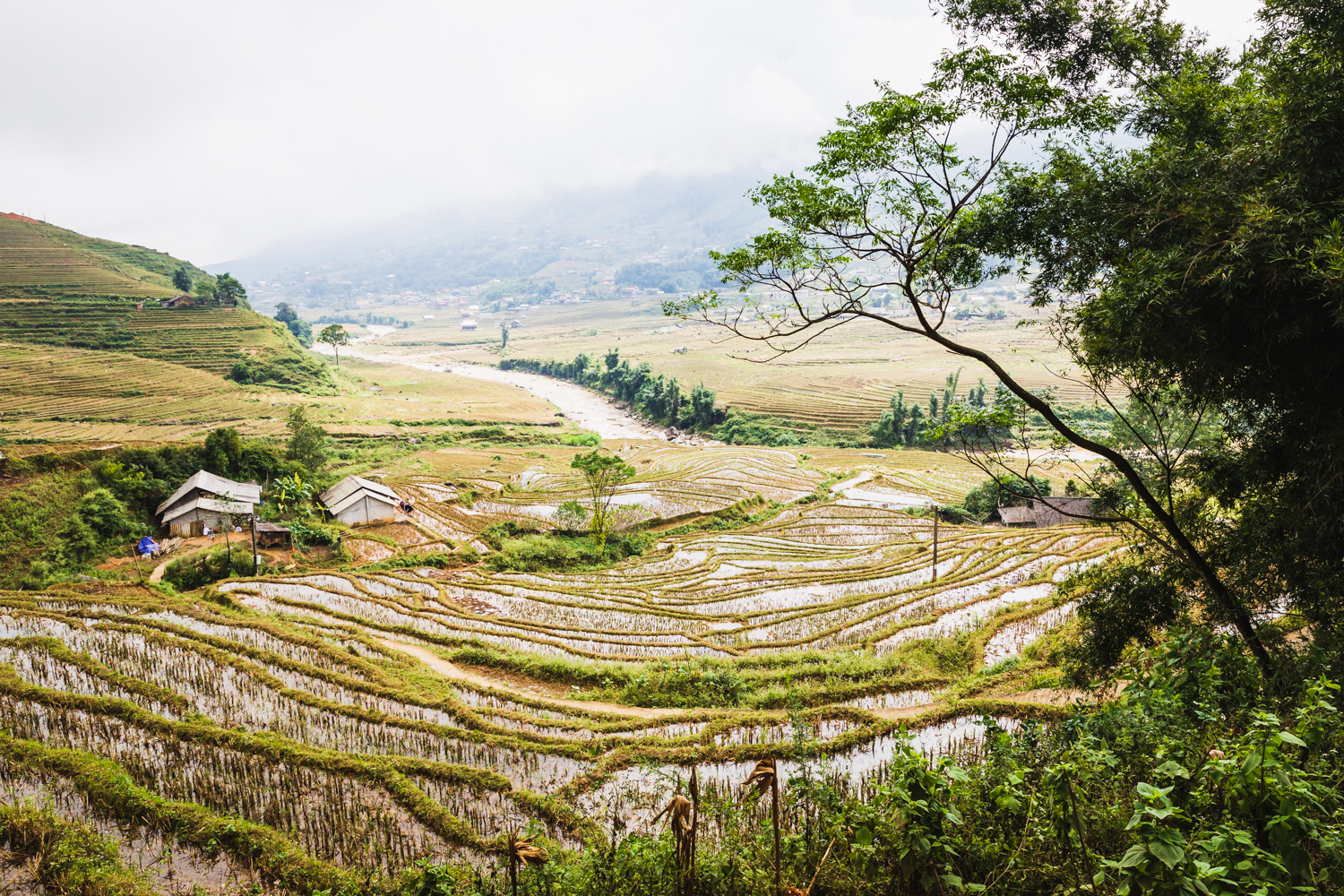 Sa Pa - Vietnam